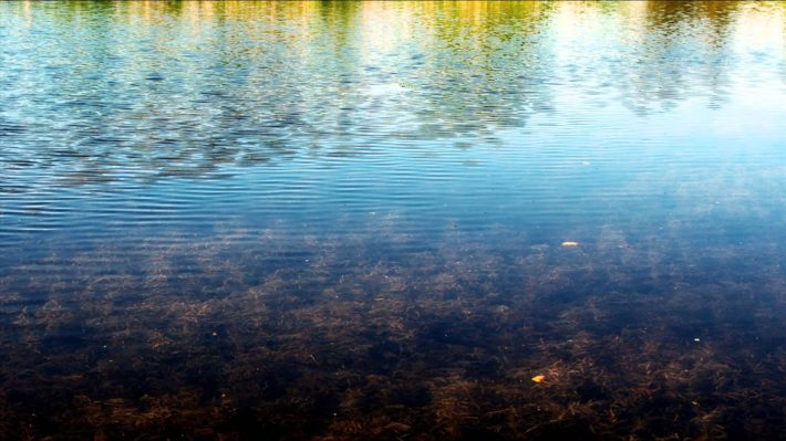 Debussy, reflets de l'eau