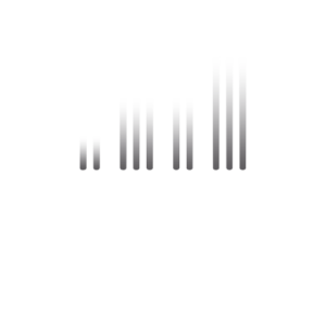 Festival Tons Voisins